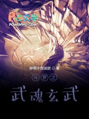 斗罗之武魂玄武 斗罗之武魂玄武