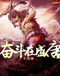 奋斗在盛唐 奋斗在盛唐