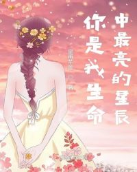 你是我生命中最亮的星辰 你是我生命中最亮的星辰