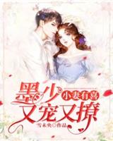 小妻有喜:墨少又宠又撩 小妻有喜:墨少又宠又撩