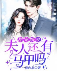 夫人还有马甲吗 夫人还有马甲吗