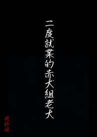 二度就业的赤犬组老大 二度就业的赤犬组老大