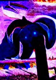 8403天以前 8403天以前