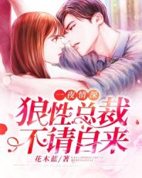 一夜情深:狼性总裁,不请自来 一夜情深:狼性总裁,不请自来
