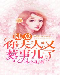 陆总,你夫人又惹事儿了 陆总,你夫人又惹事儿了