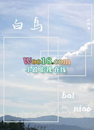 白鸟 白鸟