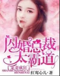 宠妻成狂:闪婚总裁太霸道 宠妻成狂:闪婚总裁太霸道