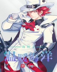 海贼之温暖海洋 海贼之温暖海洋