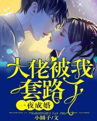 一夜成婚大佬被我套路了 一夜成婚大佬被我套路了