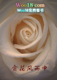 贪花风雨中 贪花风雨中