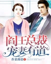 冷面总裁宠妻有道 冷面总裁宠妻有道