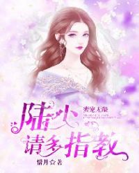 蜜宠无限:陆少请多指教 蜜宠无限:陆少请多指教