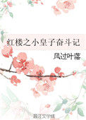 红楼之小皇子奋斗记 红楼之小皇子奋斗记