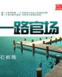 一路官场 一路官场