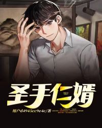圣手仁婿 圣手仁婿