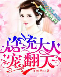 总统大人,宠翻天 总统大人,宠翻天