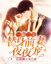 一胎二宝:替身前妻夜夜宠 一胎二宝:替身前妻夜夜宠