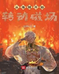 从海贼开始转动磁场 从海贼开始转动磁场