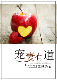 宠妻有道 宠妻有道
