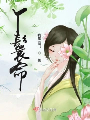 丫鬟命 丫鬟命