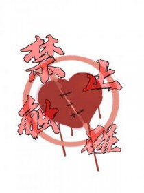 禁止触碰 禁止触碰