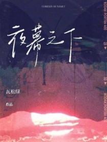 夜幕之下 夜幕之下