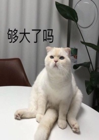 搅乱死水一池 搅乱死水一池