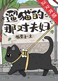 遛猫的那对夫妇 遛猫的那对夫妇