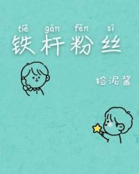 铁杆粉丝 铁杆粉丝