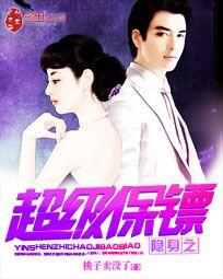 隐身侍卫 隐身侍卫