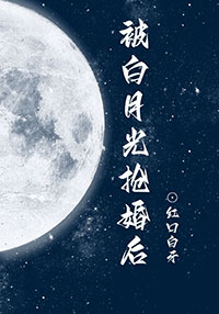 被白月光抢婚后 被白月光抢婚后