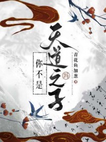 你不是天道之子吗 你不是天道之子吗
