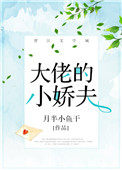 大佬的小娇夫 大佬的小娇夫