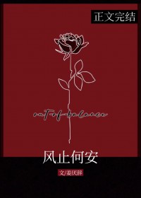 风止何安 风止何安