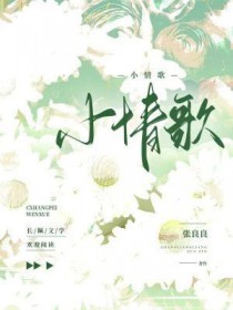 小情歌 小情歌