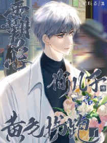 霸总,你儿子被黄毛拐跑了 霸总,你儿子被黄毛拐跑了