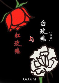 红玫瑰与白玫瑰 红玫瑰与白玫瑰