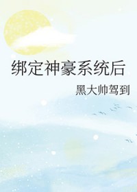 绑定神豪系统后 绑定神豪系统后