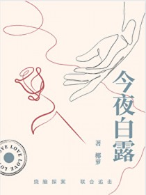 小镇谜案 小镇谜案