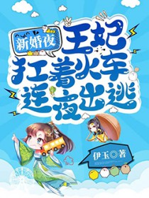 新婚夜,王妃扛着火车连夜出逃 新婚夜,王妃扛着火车连夜出逃