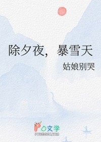 除夕夜,暴雪天 除夕夜,暴雪天