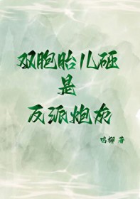 双胞胎儿砸是反派炮灰 双胞胎儿砸是反派炮灰