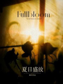 夏日盛放 夏日盛放
