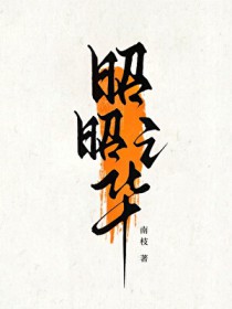 昭昭之华 昭昭之华