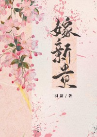 嫁新贵 嫁新贵