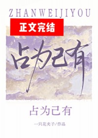 占为己有 占为己有