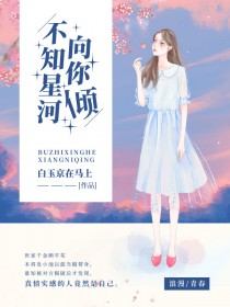 不知星河向你倾 不知星河向你倾