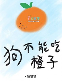 狗不能吃橙子 狗不能吃橙子
