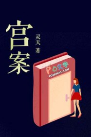 宫案 宫案
