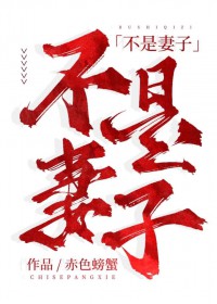 不是妻子 不是妻子